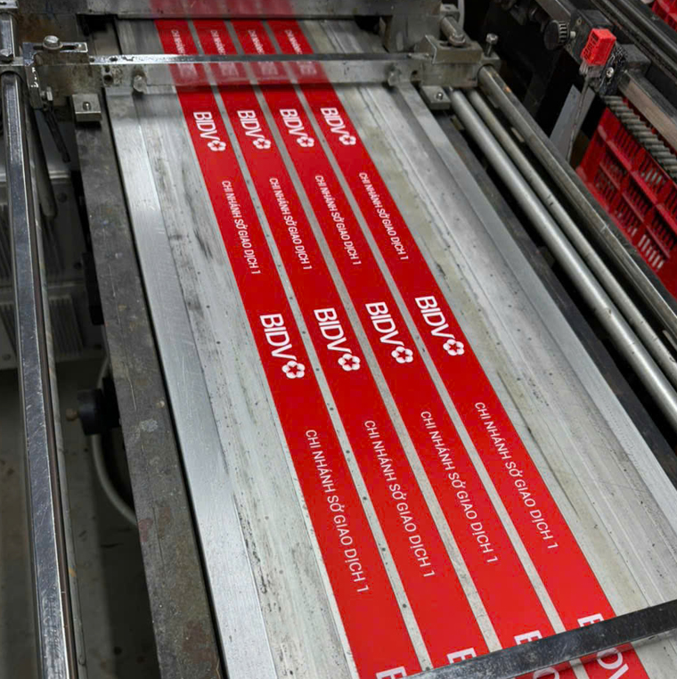 Xuong in ruy bang (2)